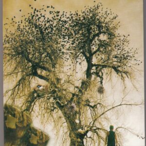 Ujdate Aalhne – A Thought-Provoking Hindi Novel by Parmanand 'Adhir'